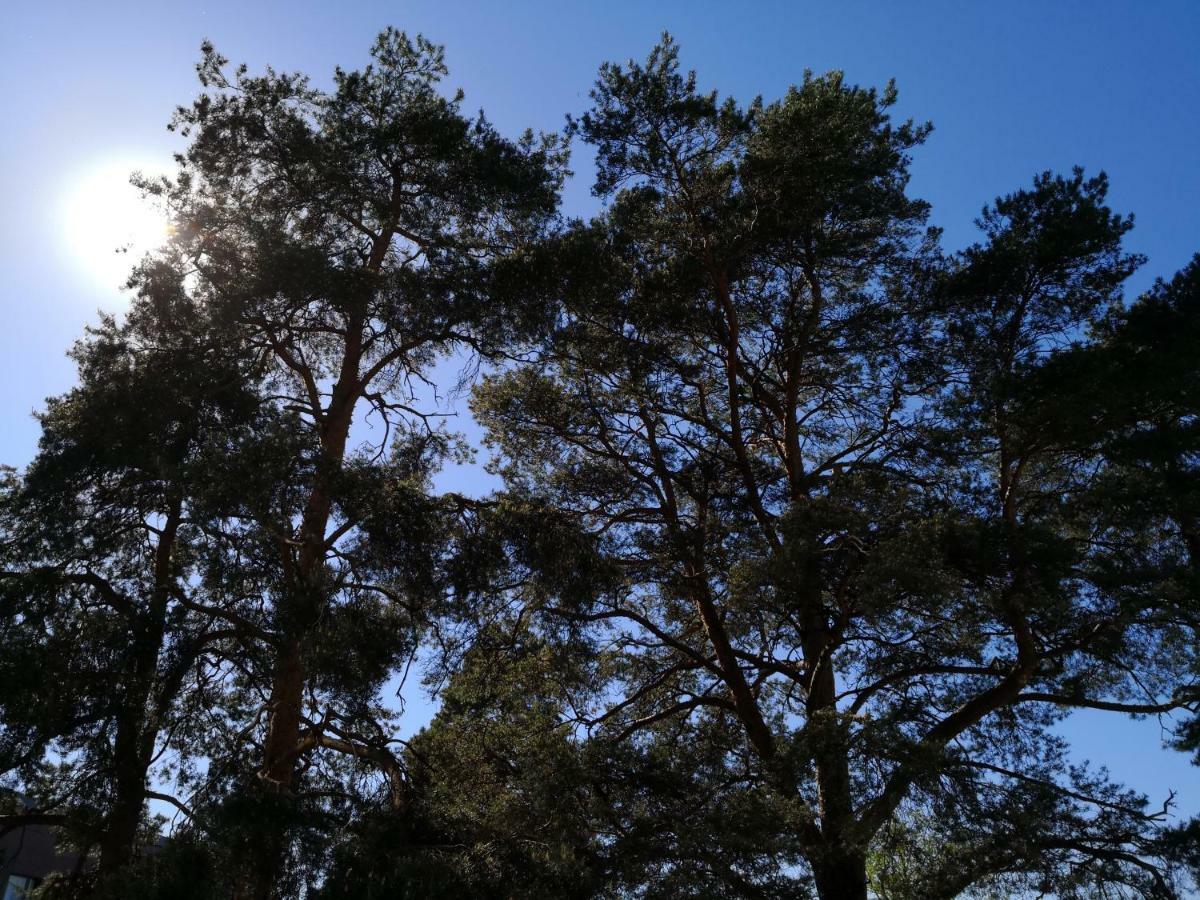 Charming Pine View Apartment Vantaa Dış mekan fotoğraf